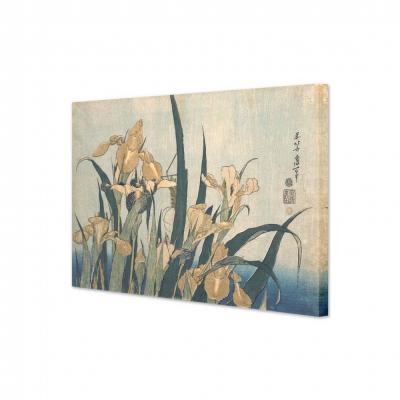 IRISES Y SALTAMONTES, KATSUSHIKA HOKUSAI